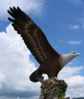Brahminy Kite sculpture.JPG (69 KB)